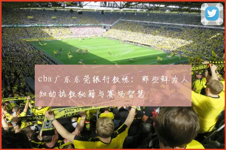 cba广东东莞银行教练：那些鲜为人知的执教秘籍与赛场智慧