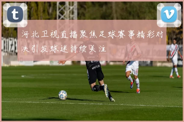 河北卫视直播聚焦足球赛事精彩对决引发球迷持续关注