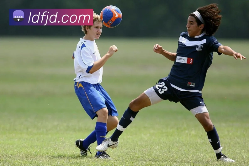 多终端兼容
